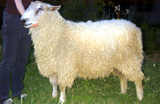 Carlson Farm