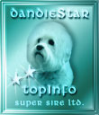 Dandie Star